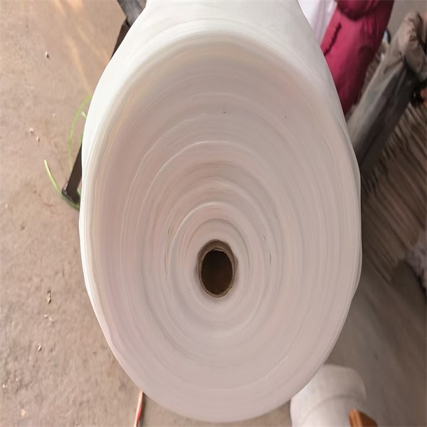 Anti Insect Netting 40 Mesh high quality